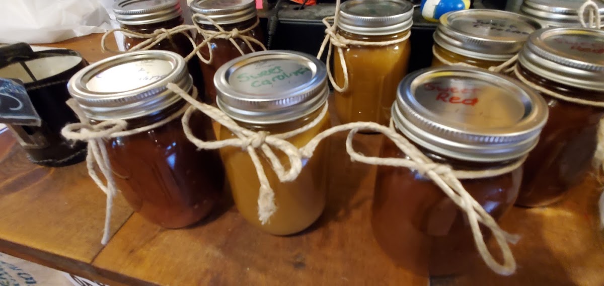 Haywood Smokehouse-5